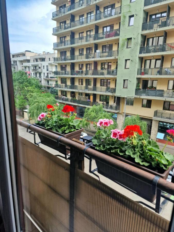 Cazare Andreea Cluj-Napoca Ngoại thất bức ảnh